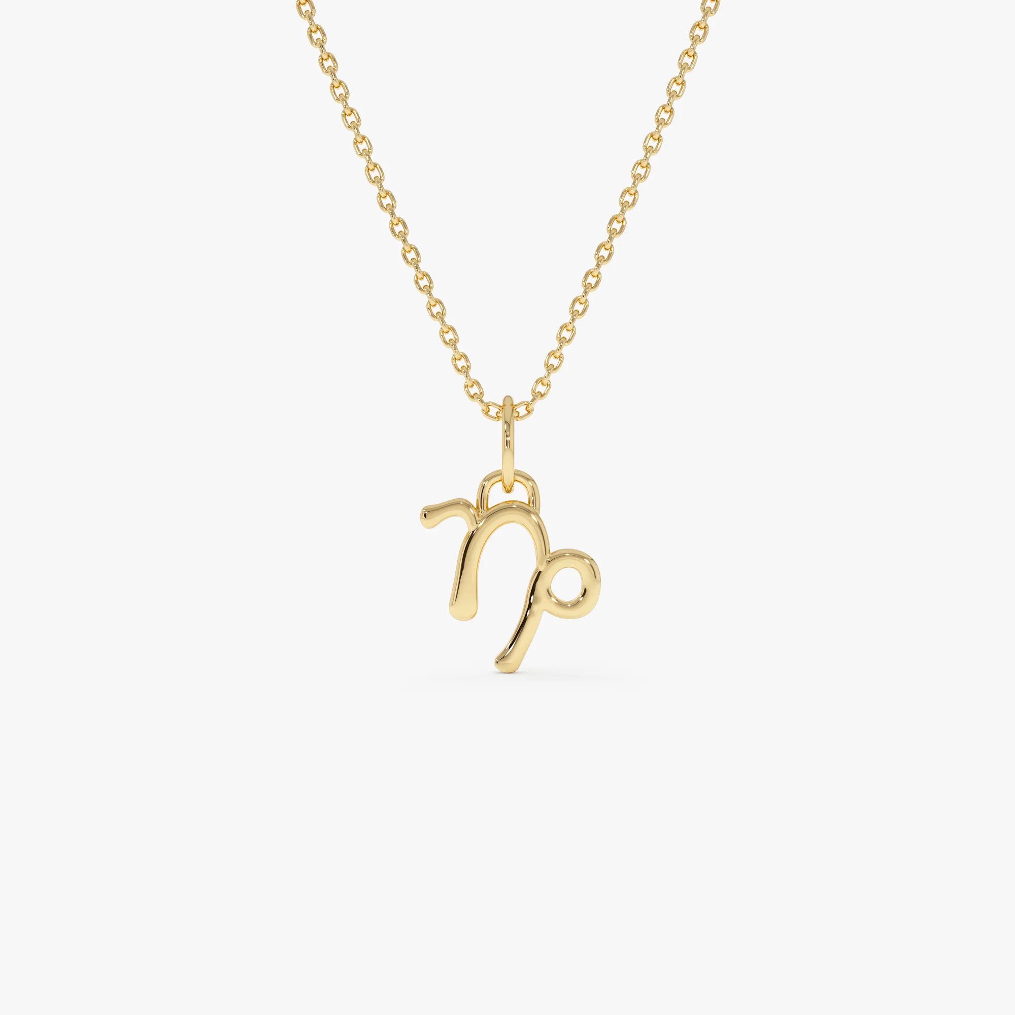14K Capricorn Zodiac Charm Necklace