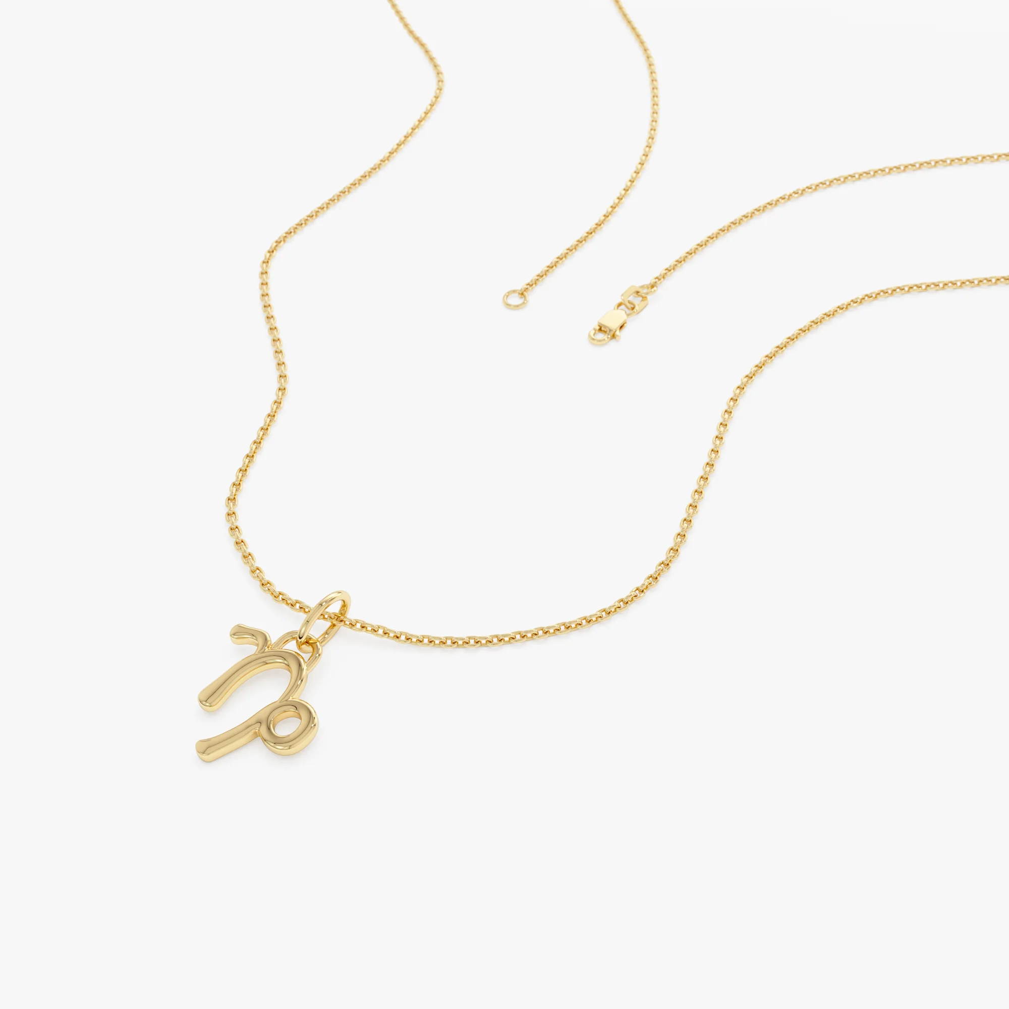 14K Capricorn Zodiac Charm Necklace - Image 5